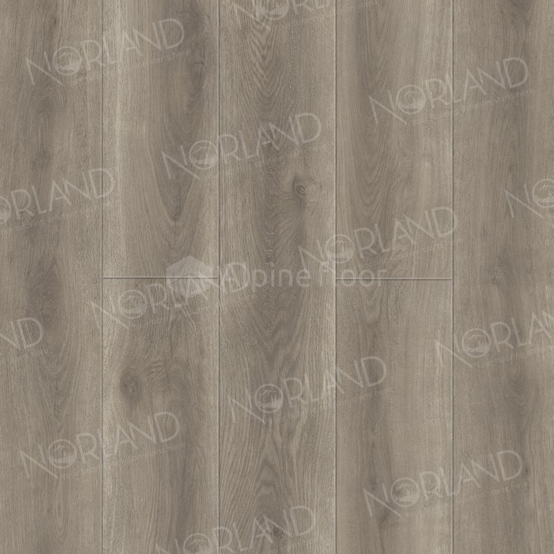 SPC Ламинат "Norland" Templet (1220*196*8 мм) — купить в Казани