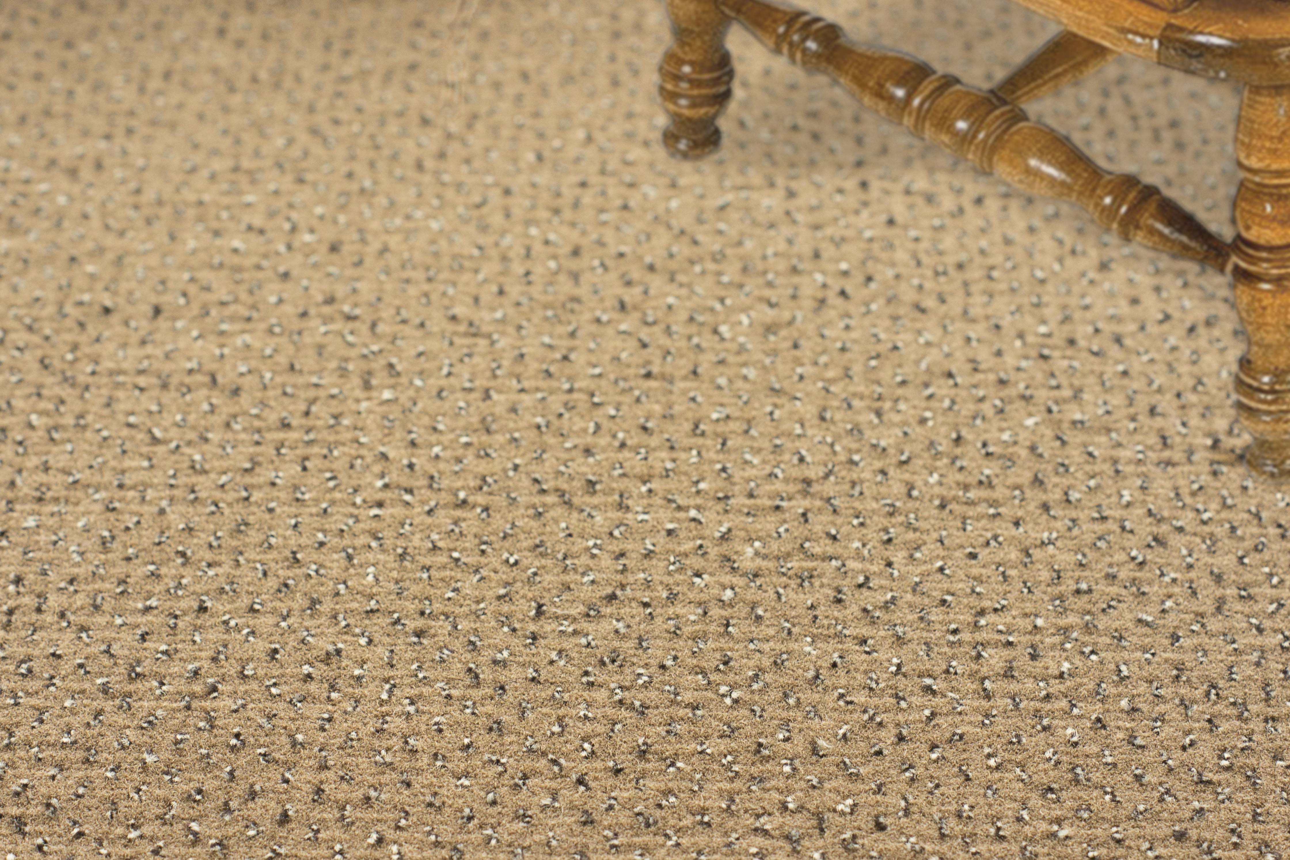 Ковролин "Зартекс" Eternity 142 бежевый (4м) — купить в Казани