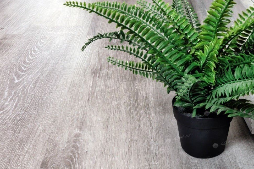 Виниловый ламинат "Alpine Floor" Classic Light MC Ясень Серый (1220*183*3,5 мм) — купить в Казани