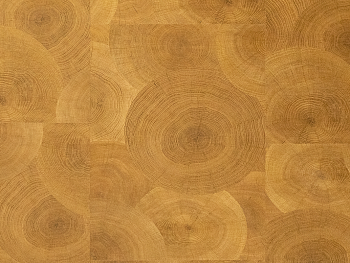 SPC ламинат Дуб Салерно 252 (900*600*4,5 мм) — фото и характеристики